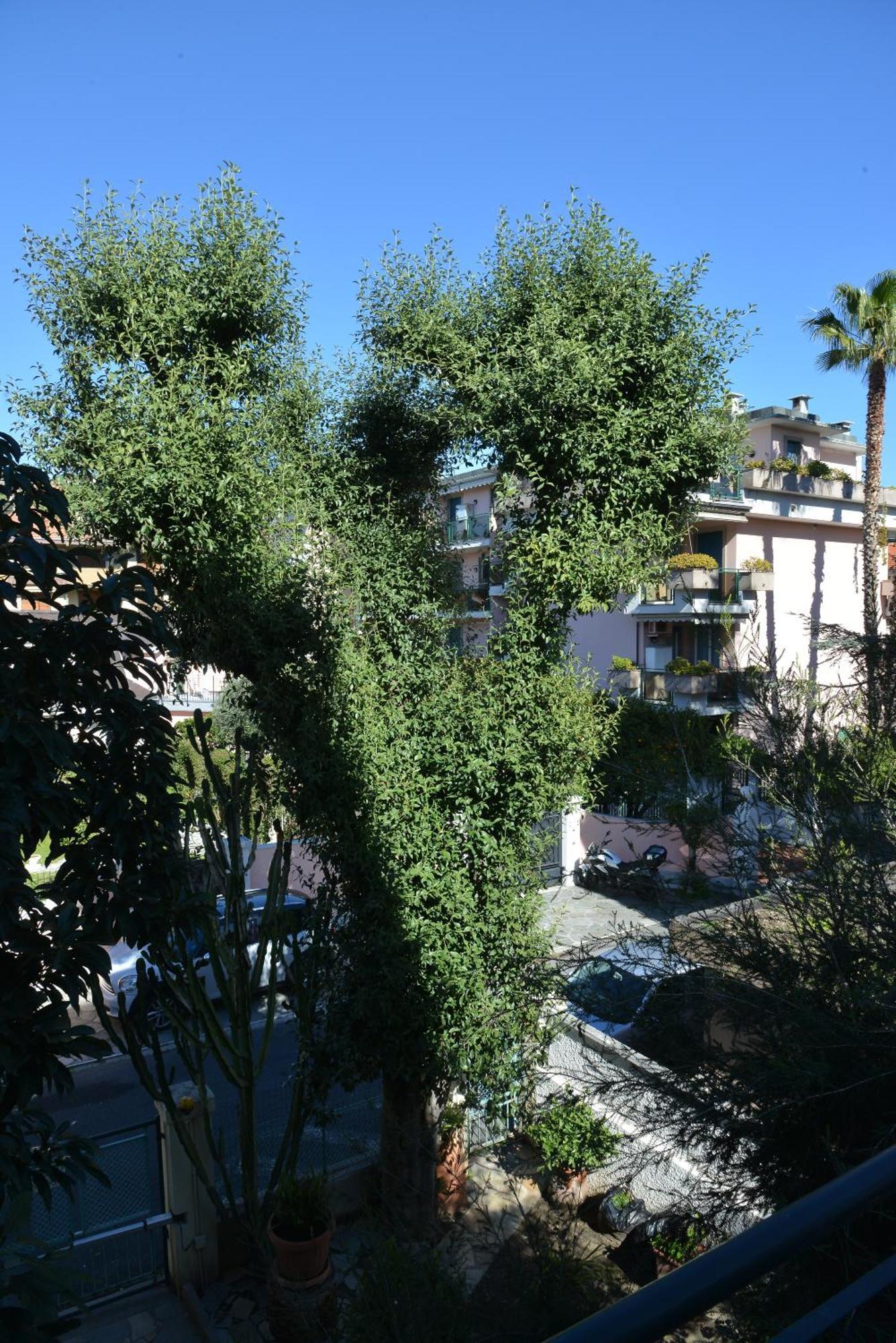 Appartamento Ginestra Bordighera Extérieur photo
